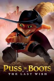 Puss in Boots: The Last Wish (2022) BluRay [Hindi (ORG5.1) & English] 1080p 720p & 480p Dual Audio [x264/ESubs] | Full Movie