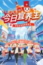 今日宜养生