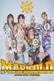 Dream Star Fighting MARIGOLD