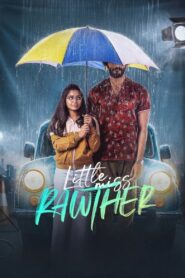 Little Miss Rawther 2023 Dual Audio Hindi ORG 1080p 720p 480p WEB-DL x264 ESubs