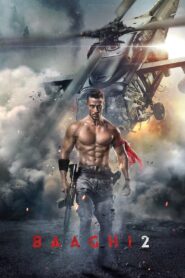 Baaghi 2 (2018) WEB-DL [Hindi (DD5.1)] 480p 720p 1080p Dual Audio [x264/ESubs] | Full Movie