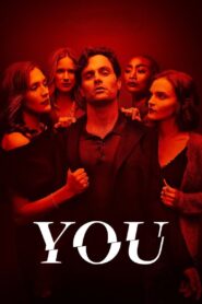You (Season1-2-3-4) Complete [Hindi DD5.1] 720p 480p WEB-DL ESubs | NF Series